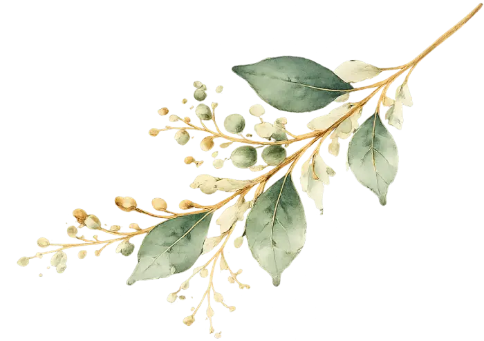 Transparent Background floral green white right top Graphicography.id